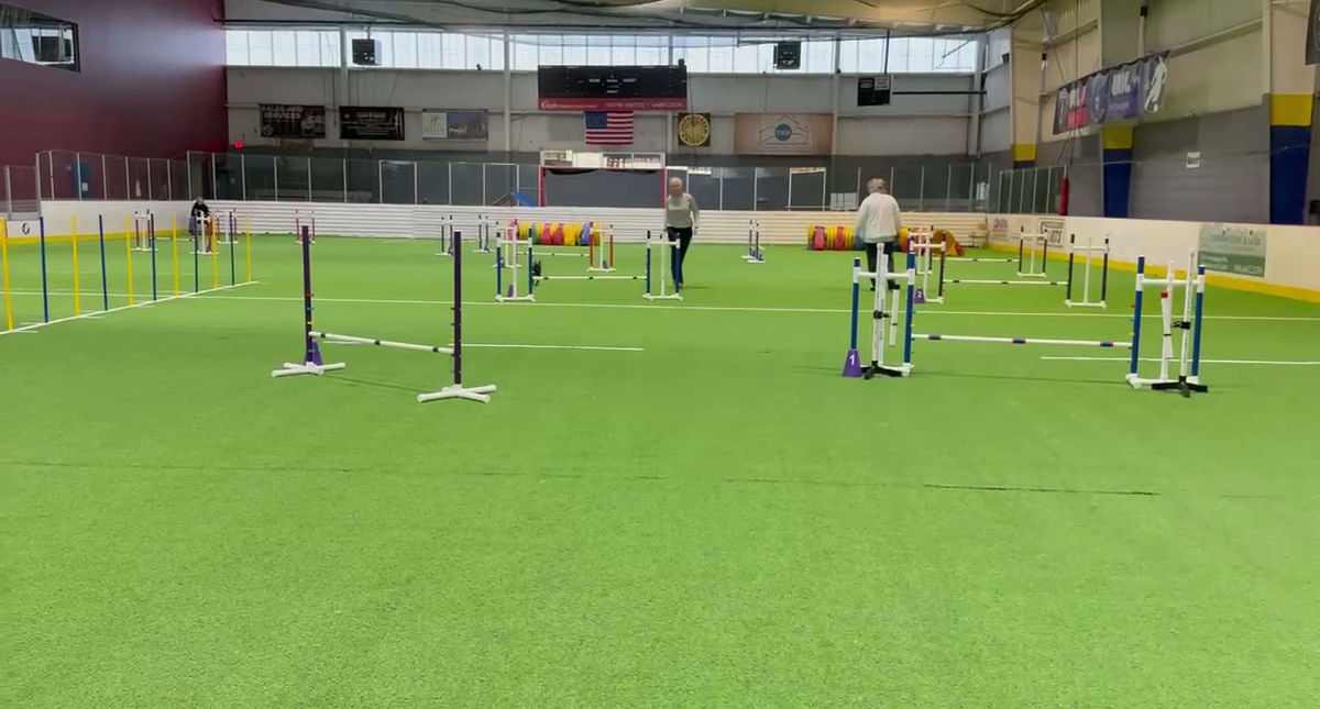 Kathy and Cheeky Nov 2025